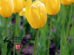 -长春公园(普阳街道)