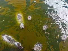 -华夏文旅西安度假区