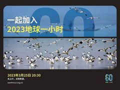 -上海凯宾斯基大酒店