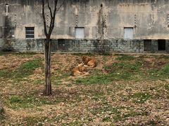 -西安秦岭野生动物园