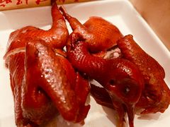 -鸽子侯·家宴·平价海鲜(绿地店)