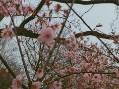 -白塘生态植物园