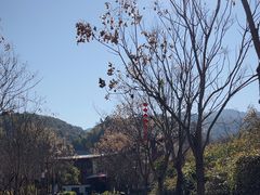 -初溪土楼群