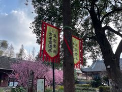 -青羊宫