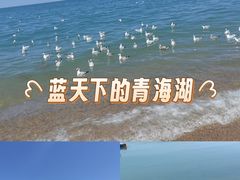 -青海湖国家重点风景名胜区