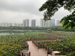 -南宁南湖公园