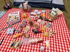 -春花秋色城市公园