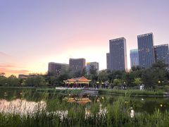 -西海子公园