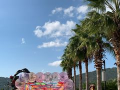 -亚龙湾国际玫瑰谷