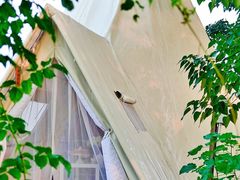 -安德鲁户外烧烤帐篷营地(马泉营店)