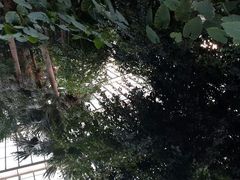 android_upload_pic-龙达温泉生态城