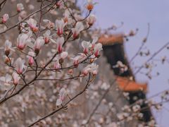 -东华门大街小区