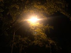 -降龙爪爪(建设路1店)