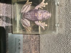 -湖州博物馆