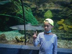 -南昌海洋公园
