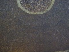 -济州岛汗蒸时代宝石生态热水浴(阳光嘉城二期D区店)