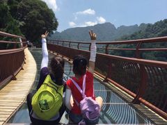 -少华山国家森林公园