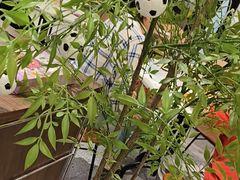 -必胜客(南通新圆融店)