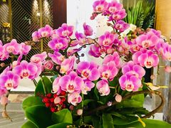 -璞·澐间影院式足道SPA(尚悦湾店)