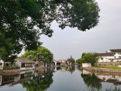 -西塘人家•黑金冠本地好店