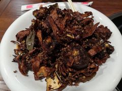 姜炒鸡-掌上鲜(南顺城街店)