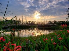 -白鹭湾湿地公园