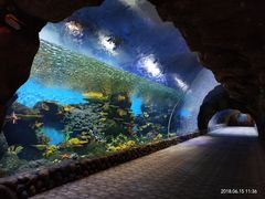 -华夏文旅海洋公园