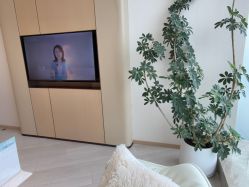 点击看大图 -智美品质医美
