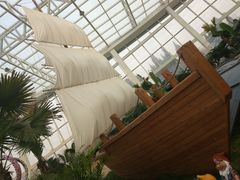 -石家庄市植物园