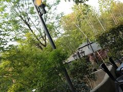 -旅马餐厅(茅家埠店)