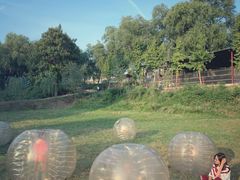 -东方巨龟苑景区