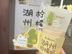 -猫的魔法密林(衣裳街店)