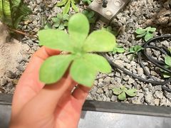 -老太原菜馆(南宫店)