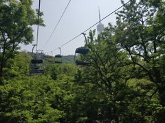 -富斯特索道
