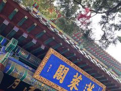 -蓬莱阁景区