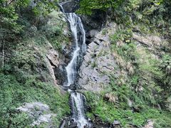 -石台牯牛降景区