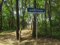 -渡海小渔村.老辈日照菜