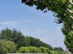 -同济大学(嘉定校区)