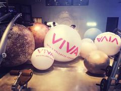 -GYMCARE VIVA(金开店)