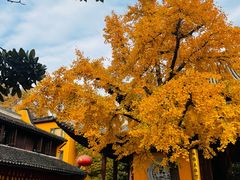 -龙华素斋(龙华路店)