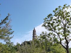 -顺峰山公园