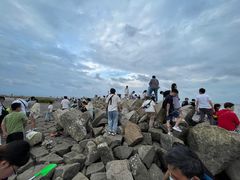 -南汇嘴观海公园