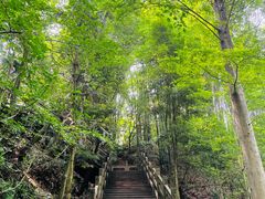 -凤栖山