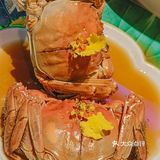 这家的红烧肉我不知道来了多少回