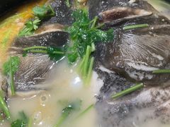 -阿莉餐厅(枣阳路店)