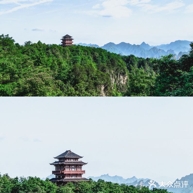 张家界国家森林公园·零基础上手轻松玩转😁