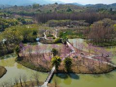 -森波拉火山温泉