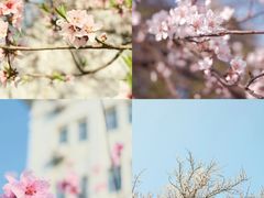 -东南大学(九龙湖校区)