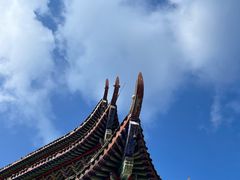 -武陵山森林公园