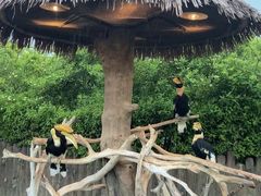 -上海野生动物园